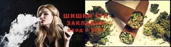 прущие грибы Пролетарск