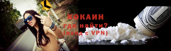 прущие грибы Пролетарск